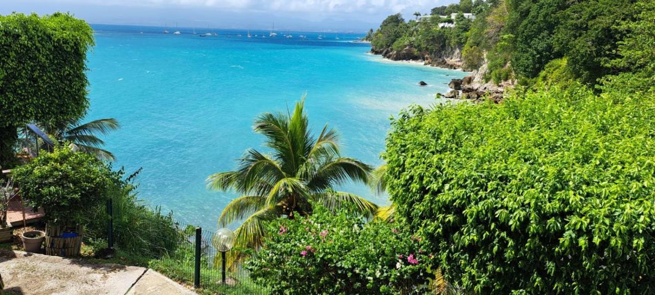 Vue Mer, Piscine, Appartement 4 Personnes Le Gosier  Dış mekan fotoğraf